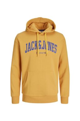 خرید مستقیم از ترکیه و ترندیول سویشرت مردانه برند جک اند جونز Jack & Jones با کد JJEJOSH SWEAT HOOD NOOS