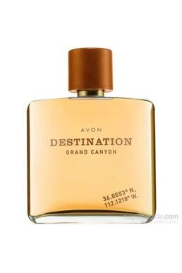 خرید مستقیم از ترکیه و ترندیول عطر مردانه برند آوون Avon با کد desltiwil