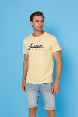 خرید مستقیم از ترکیه و ترندیول تیشرت مردانه برند جک اند جونز Jack & Jones با کد JORREGGIE TEE SS CREW NEC