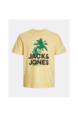 خرید مستقیم از ترکیه و ترندیول تیشرت مردانه برند جک اند جونز Jack & Jones با کد 3YETSBS34406SAR