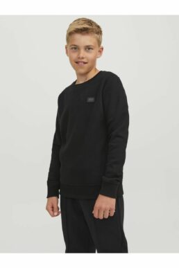 خرید مستقیم از ترکیه و ترندیول سویشرت پسرانه برند جک اند جونز Jack & Jones با کد 12240997