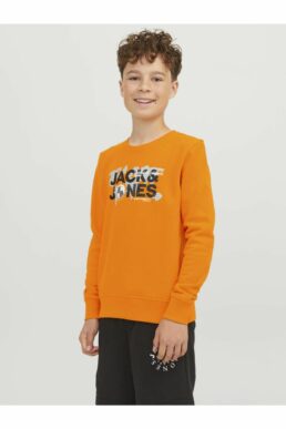 خرید مستقیم از ترکیه و ترندیول سویشرت پسرانه برند جک اند جونز Jack & Jones با کد 12241086