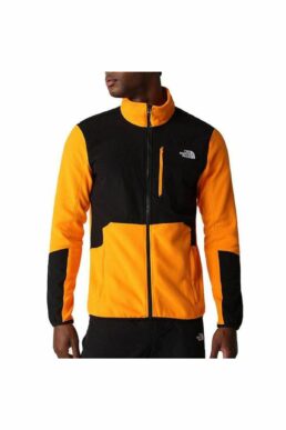 خرید مستقیم از ترکیه و ترندیول Polar مردانه برند نورث فیس The North Face با کد NF0A5IHSN7Q61