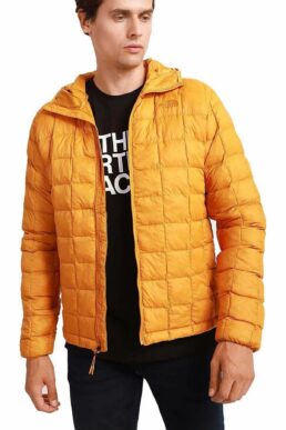 خرید مستقیم از ترکیه و ترندیول کاپشن مردانه برند نورث فیس The North Face با کد TYC00266959891