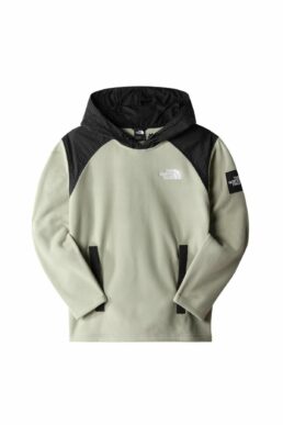 خرید مستقیم از ترکیه و ترندیول سویشرت مردانه برند نورث فیس The North Face با کد NF0A7Z9C4M11