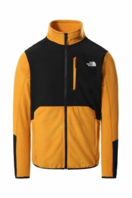 خرید مستقیم از ترکیه و ترندیول Polar مردانه برند نورث فیس The North Face با کد NF0A5IHSAUV1VF148