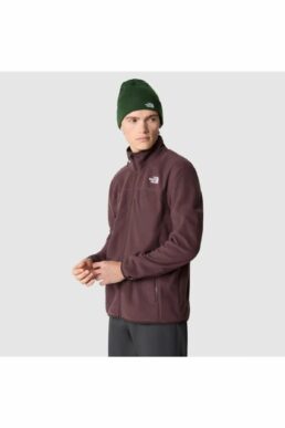 خرید مستقیم از ترکیه و ترندیول Polar مردانه برند نورث فیس The North Face با کد TYCS2QHKEN169289761416238