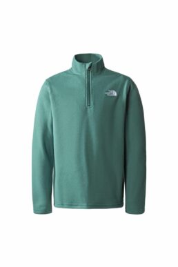 خرید مستقیم از ترکیه و ترندیول Polar مردانه برند نورث فیس The North Face با کد NF0A82D1I0F1