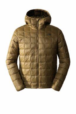 خرید مستقیم از ترکیه و ترندیول کاپشن مردانه برند نورث فیس The North Face با کد NF0A5GLK37U1mltyo