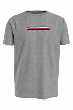 خرید مستقیم از ترکیه و ترندیول تیشرت مردانه برند تامی هیلفیگر Tommy Hilfiger با کد UM0UM02348-P4A