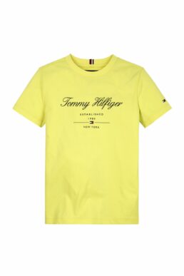 خرید مستقیم از ترکیه و ترندیول تیشرت مردانه برند تامی هیلفیگر Tommy Hilfiger با کد 5003119748