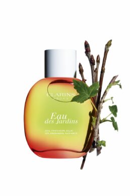 خرید مستقیم از ترکیه و ترندیول عطر زنانه برند کلارینز Clarins با کد 5003047571