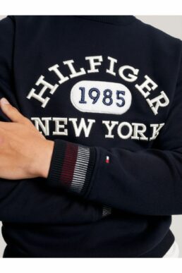 خرید مستقیم از ترکیه و ترندیول بافت و پلیور مردانه برند تامی هیلفیگر Tommy Hilfiger با کد MW0MW32670